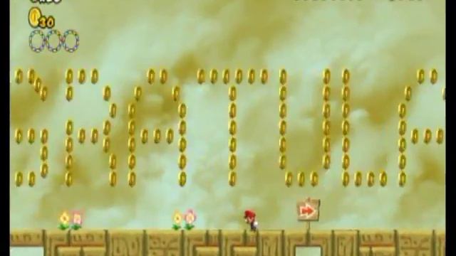 New Super Mario Bros. Wii * World 9 * Perfect Run * Newer Summer Sun ROM Hack смотреть онлайн