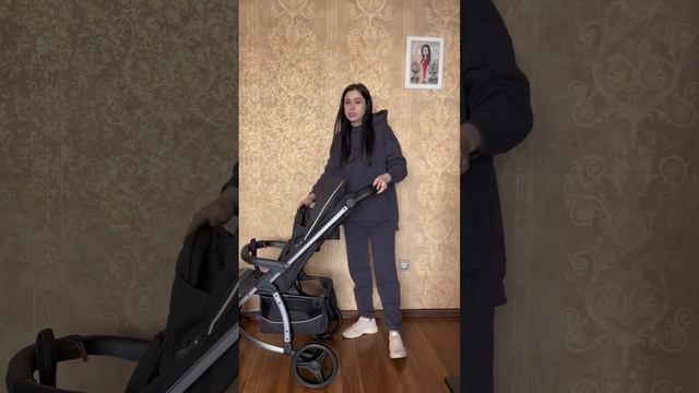 Обзор Carrello Vista