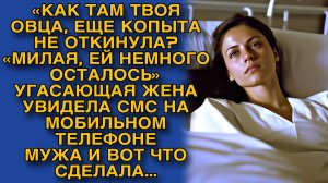 «КАК ТАМ ТВОЯ ОВЦА, ЕЩЕ КОПЫТА НЕ ОТКИНУЛА?«МИЛАЯ, ЕЙ НЕМНОГО ОСТАЛОСЬ» УВИДЕЛА ЖЕНА СМС, И ПОТОМ…