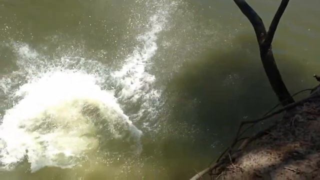 Football and Flipping With friends смотреть онлайн