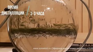 Получение эфирного масла