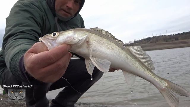 Судак Щука в Марте.2021.ГОД. смотреть онлайн