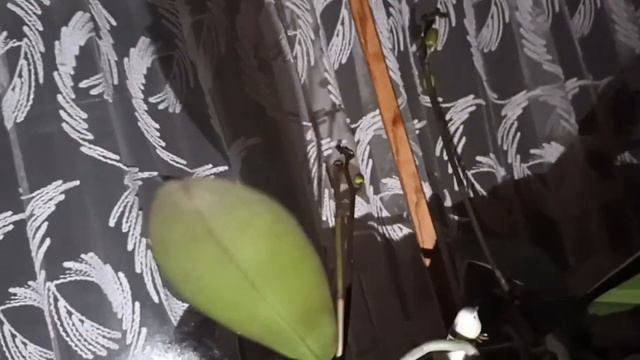 экстрим.условия. живем без света смотреть онлайн