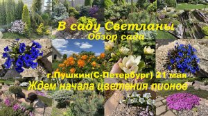 В гостях у Светланы 21-05-2023