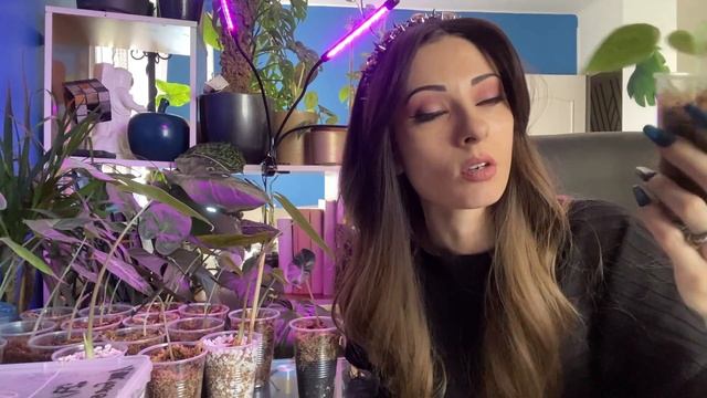 BABY PLANTES ? COMMENT NE PAS LES TUER ?? смотреть онлайн