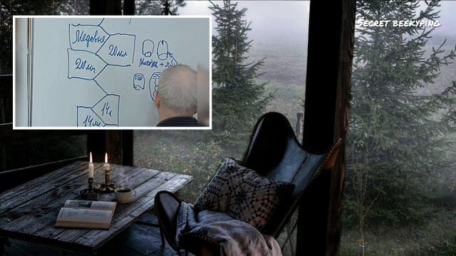 Как матка определяет какое яйцо откладывать.  Маточная ячейка.