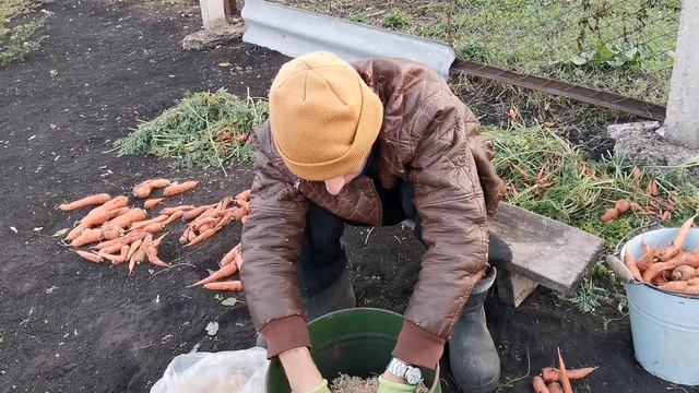 ДЕНЬ РОЖДЕНИЯ АЙЖАНЫ. ПОДАРКИ. БОГАТЫЙ УРОЖАЙ 2022. БУДНИ ❤️ смотреть онлайн