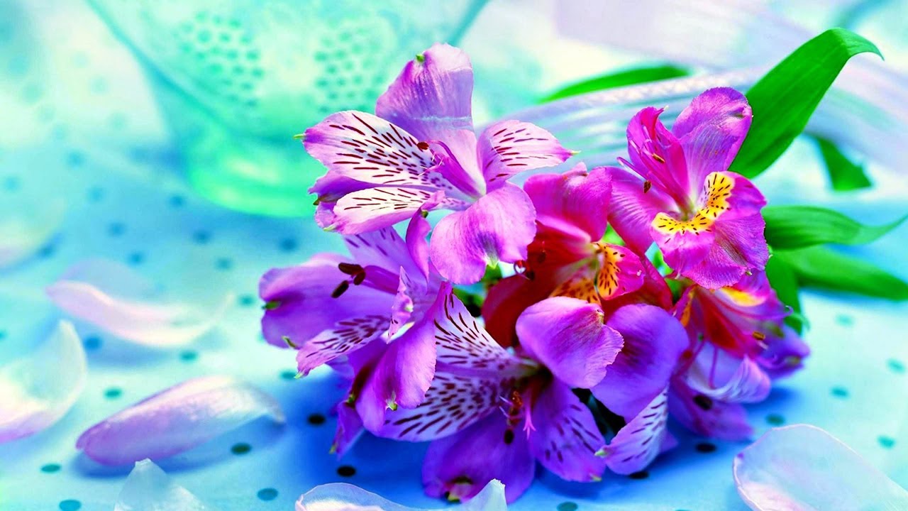 Какая красивая музыка о нежности и любви Цветы красиво распускаются под музыку смотреть онлайн