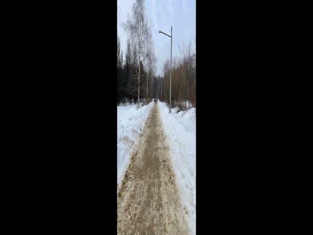 #бег #зож #тренировки #спорт #весна #8марта смотреть онлайн