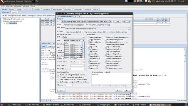 Sql Injection with SqlMap Burp Plugin смотреть онлайн