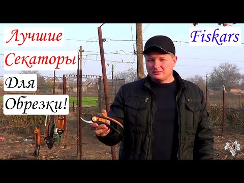 Лучшие инструменты для обрезки Винограда! Обзор секаторов