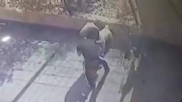 akita dog takes revenge his owners смотреть онлайн
