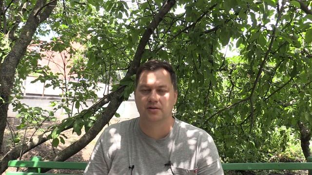 План душевного развития (с чего начать духовный рост) - Лабиринты Знаний смотреть онлайн