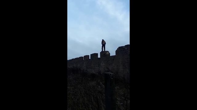 жоский эдит не кринж