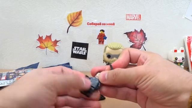 Закупился в музее Брик Стар