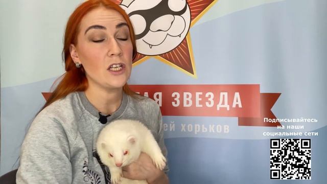 Окрас альбинос смотреть онлайн