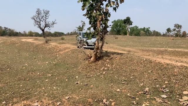 Off-road Driving With Maruti Suzuki Wagon R Stingray in Rural Roads of Purulia West Bengal India смотреть онлайн