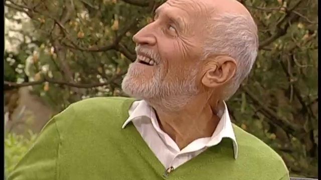 Питоны и удавы смотреть онлайн