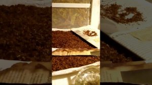 бумага для самокрутки своими руками.