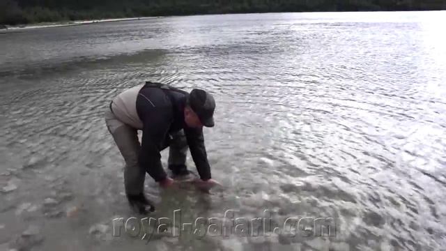 Рыбалка нахлыстом на Аляске с Royal Safari смотреть онлайн