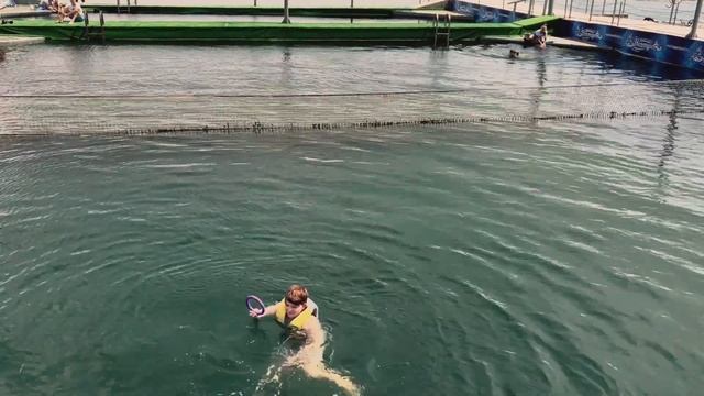 Купаемся с дельфинами. Крым, океанариум «Нептун» смотреть онлайн