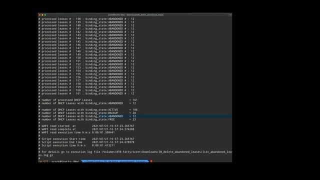 Deleting abandoned DHCP Leases in Infoblox смотреть онлайн