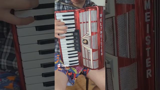 продажа аккордеона weltmeister Amigo 3/4. ссылка в комментариях смотреть онлайн