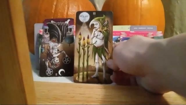 #KARMIC #TAROT SHE'S IN DENIAL THAT THIS MASCULINE IS LIVING IN HIS TRUTH LOVING U #DIVINEFEMININE смотреть онлайн