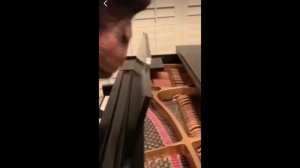 Две обезьяны играют Мурку