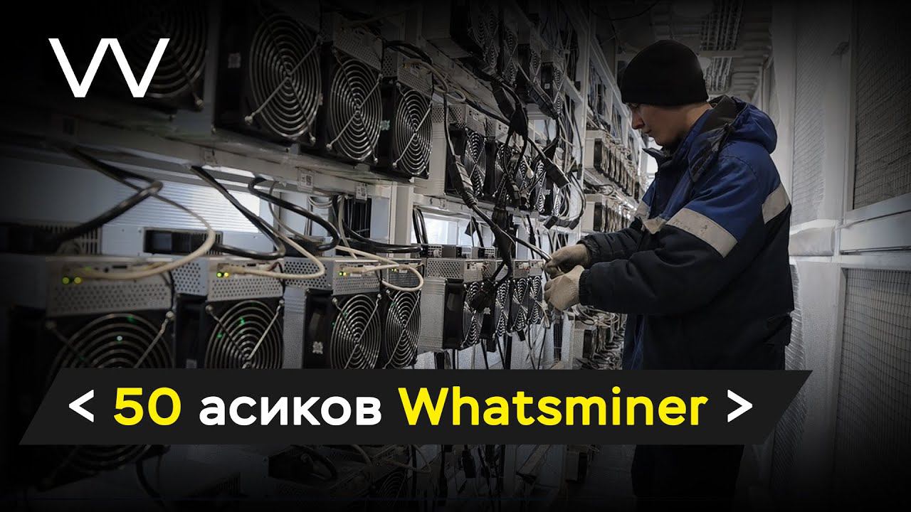 К нам приехали 50 асиков Whatsminer! смотреть онлайн
