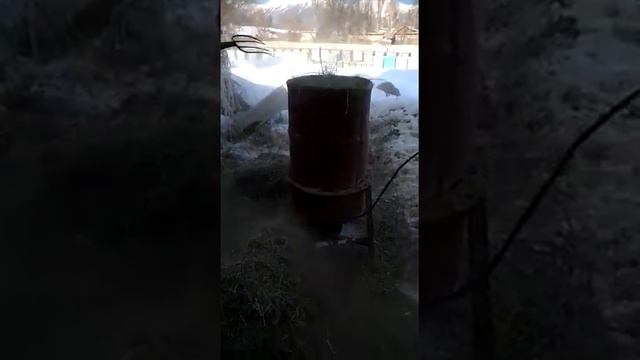 Сенорезка 1тюк, одна 1минута смотреть онлайн