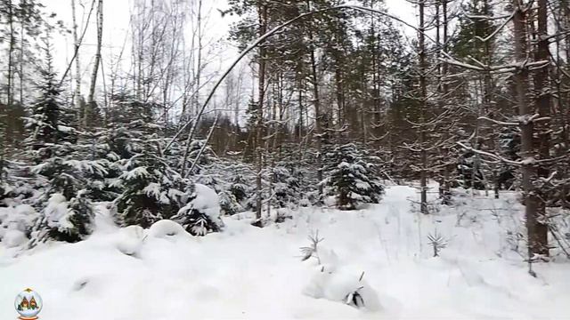 Ура ура за ёлками в лес, ёлок надо много на всю контору, смотреть онлайн