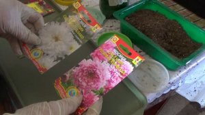 Сеем космею только так, универсальный способ.