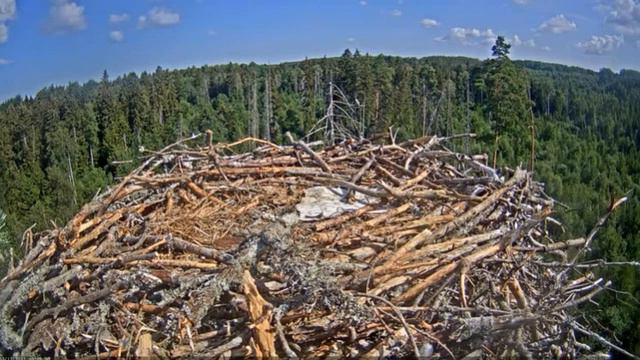 Запись 2021 07 17 15 33 36 486 смотреть онлайн