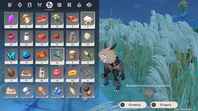 KUCHA GUSHA / ГЕНШИН ИМПАКТ / ЧТО ЭТО ЗНАЧИТ