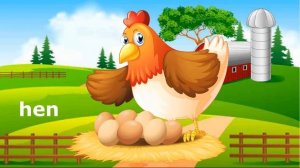 домашние животные на английском