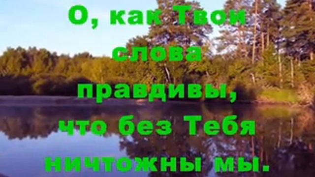 КОГДА В ТВОИ СЛОВА ВНИКАЮ (МИНУС) Христианские песни смотреть онлайн