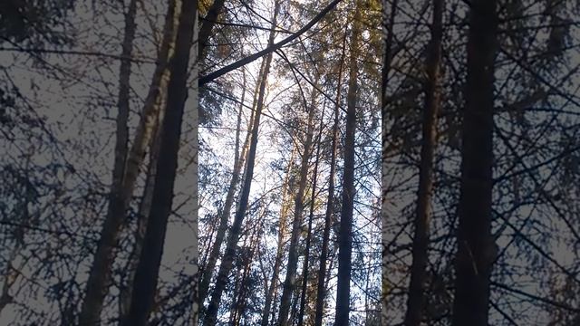 БУЯН НАШЕЛ БЕЛКУ смотреть онлайн