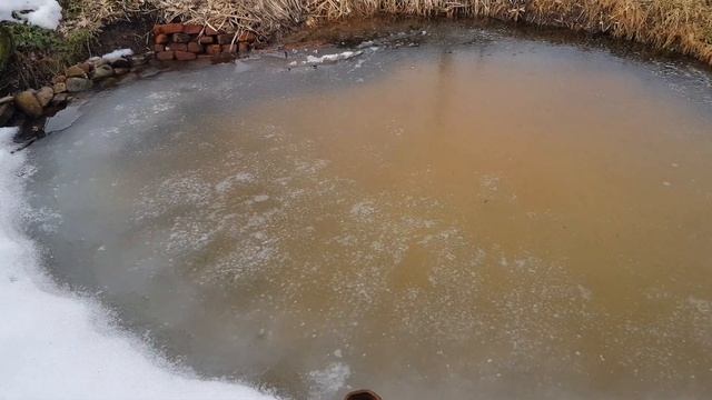 10ч. Бюджетный, без пленки пруд своими руками. Пруд зимой, весной набрал талой воды! смотреть онлайн