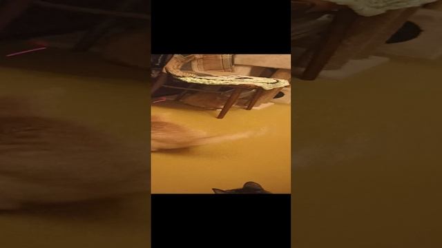 VID_20230310_012359.mp4 смотреть онлайн