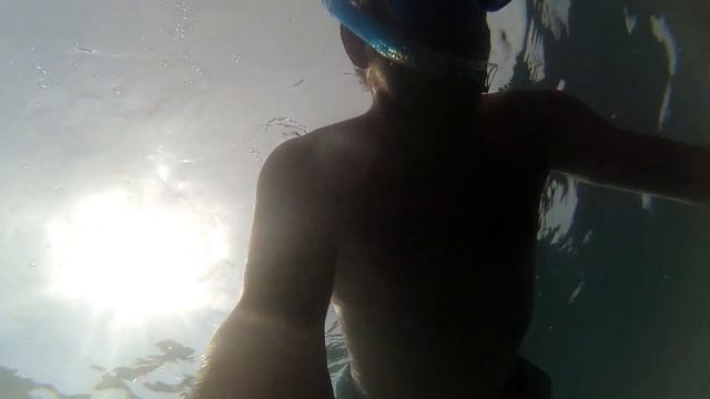 Снорклинг как надо?[review of snorkeling] смотреть онлайн