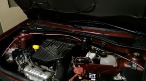 Рено Логан. Замена тормозной жидкости. Моя ошибка при замене.