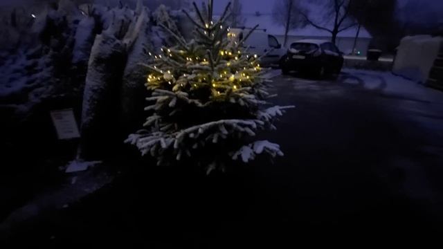 Наш день #542 Весь день снег. Новая кровать. Купила ёлку.