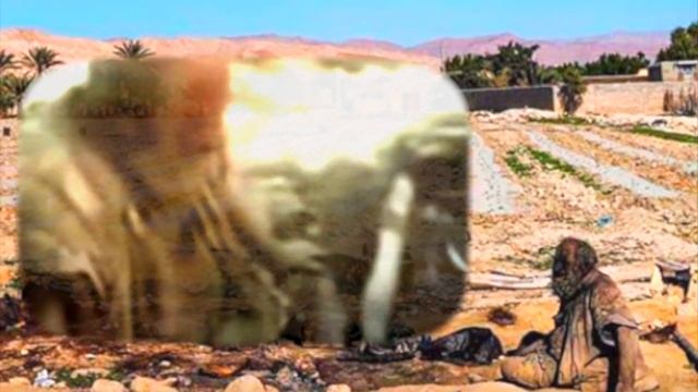 Человек, который не мылся более 60 лет. История  АМУ ХАДЖИ  AMOU HAJI рекордсмена книги Гиннеса