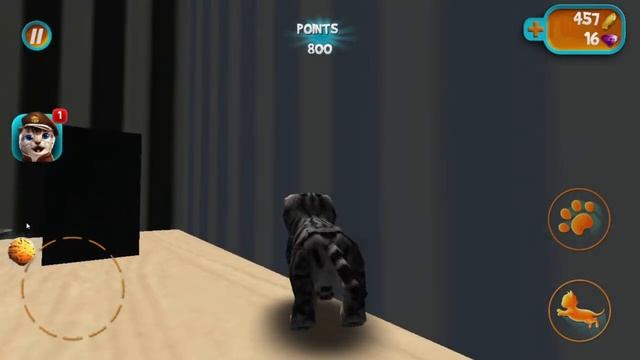 Kitten Cat Simulator 3D Part 2 - best app videos for kids смотреть онлайн