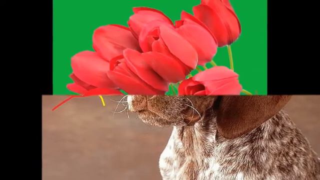 Учиться в школе про100 смотреть онлайн