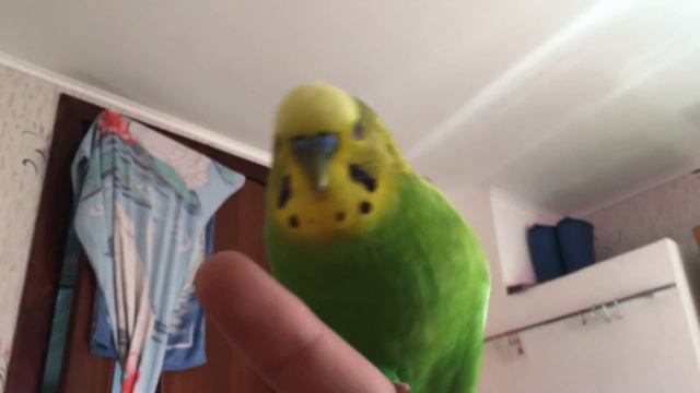 Приехали на дачу смотреть онлайн