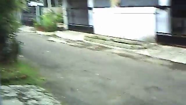 camera video protax dc510t outdoor sore hari смотреть онлайн