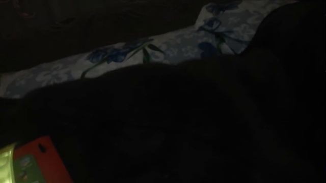 Вот что внутри таких браслетов смотреть онлайн