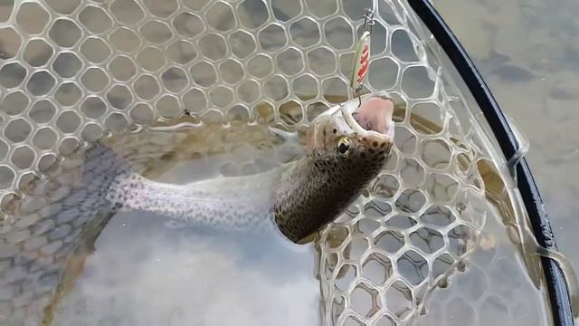 Форелевые блесны "SNAKE" (Ilba) смотреть онлайн